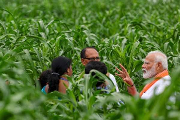 modi tata