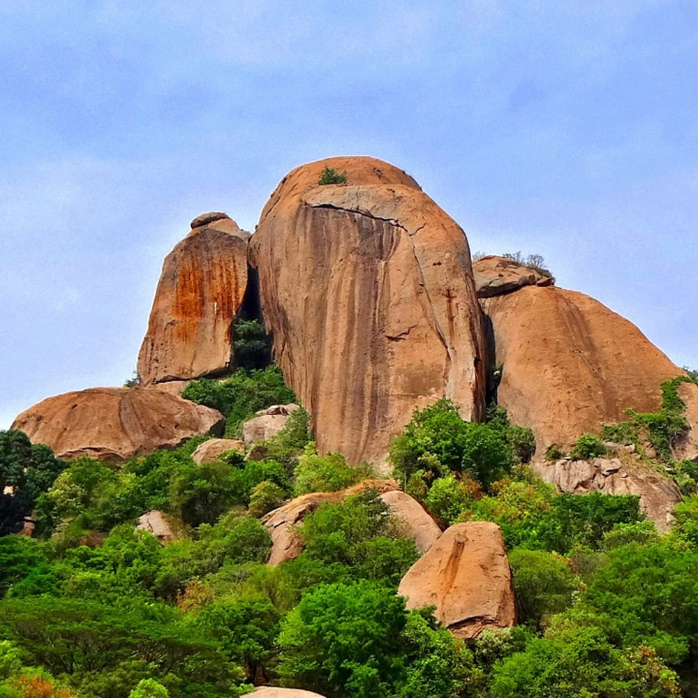 ramnagar