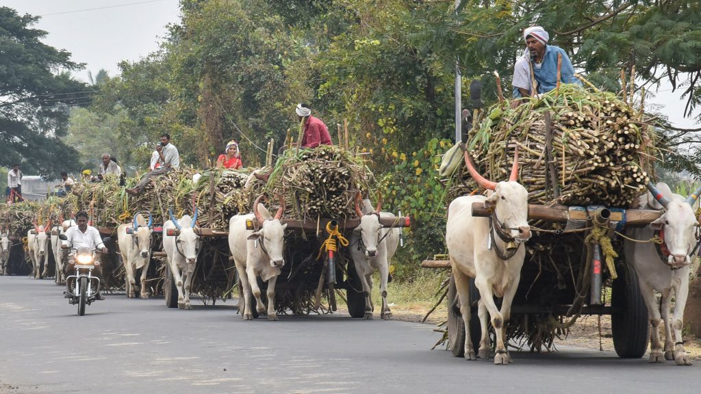 suger cart